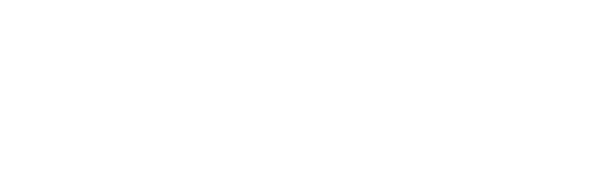 BNZ & Patner Law Firm